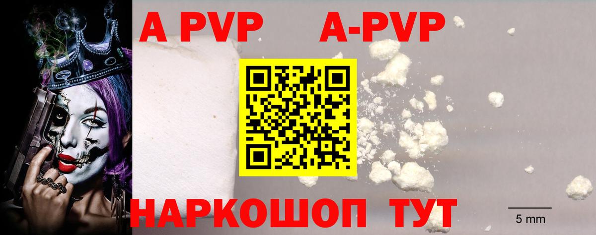 Альфа ПВП СК КРИС Дагестанские Огни