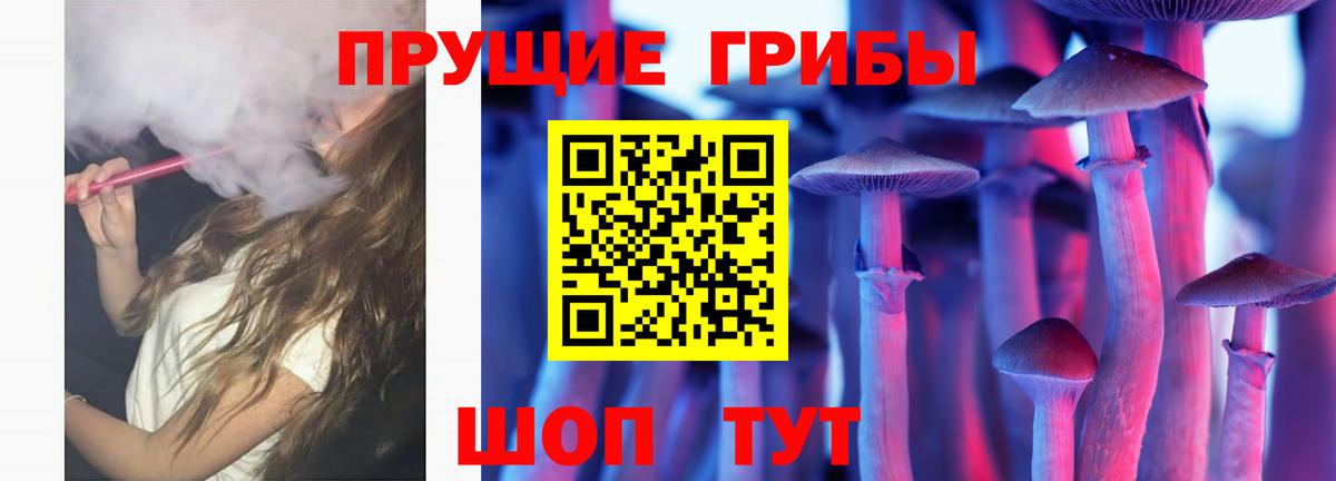 Псилоцибиновые грибы прущие грибы  Вход с VPN  Дагестанские Огни 