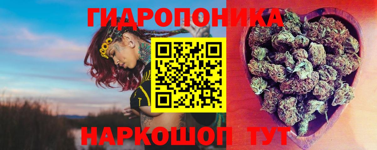 Конопля план Дагестанские Огни